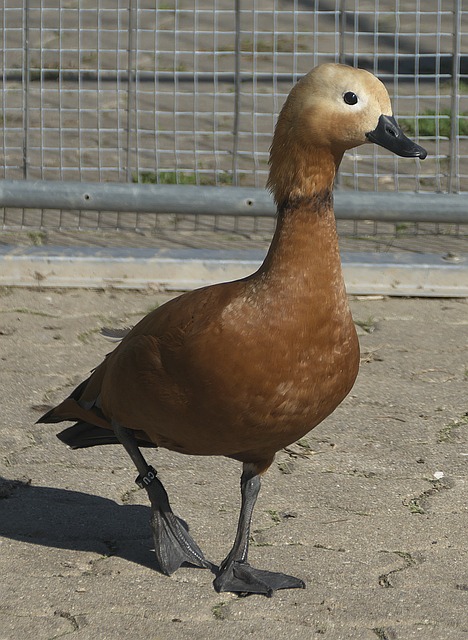 萬歐元對於