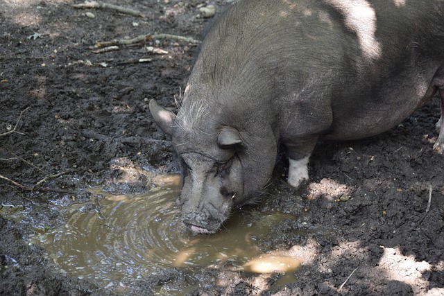 提升节奏管 提升节奏管