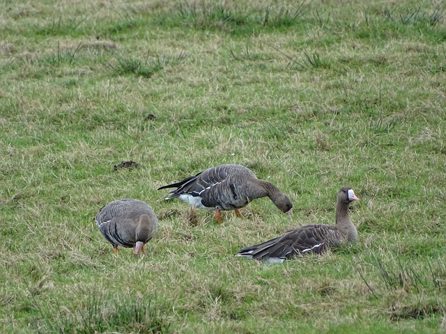 王岚嵚面对 王岚嵚面对
