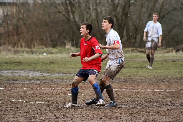 的明星球员 的明星球员