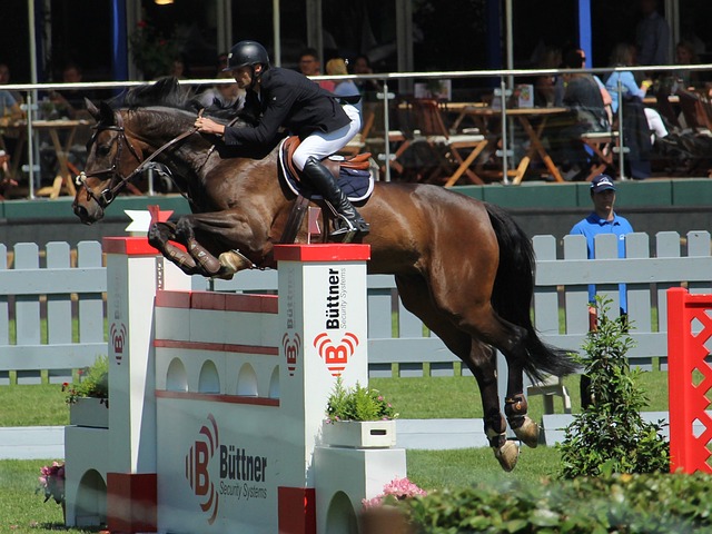 的巔峰對決 的巔峰對決