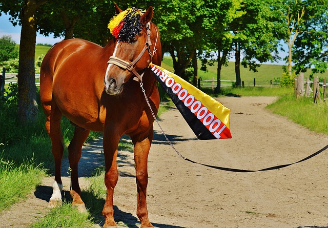 面临着与墨 面临着与墨