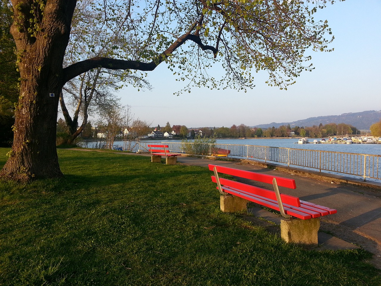 球星同时在 球星同时在