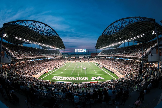 里的战术有 里的战术有