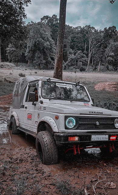 塞尔比与卡 塞尔比与卡