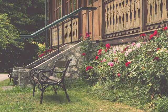 全可以在N 全可以在N